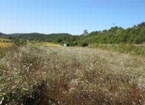 [공매정보] 경주 북군동 289-1·290·291 논 2579㎡