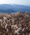 [최원식의 산] 팔공산 동산계곡∼하늘정원∼비로봉(1천193m, 군위군)