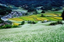 안동 농촌체험마을 가족 여행지로 인기