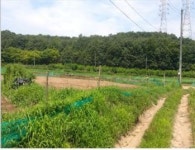 [공매정보] 대구 북구 국우동 340-2 토지 902㎡