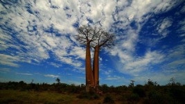 [볼만한 TV 프로] 3일 TV프로 해설