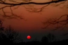 [서태영의 포토 바이킹 .21] 대구 봉무동~미대들녘~용수동~동화사 봉황몸통길