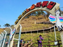 [김찬일의 방방곡곡/길을 걷다] 부산 몰운대∼다대포∼아미산 전망대