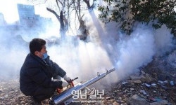 ‘지카’ 로부터 대구를 지켜라