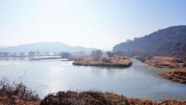 [김찬일의 방방곡곡/길을 걷다] 우포늪 그리고 원시의 생명길 트레킹