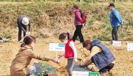 대구 수성구청 직영 친환경 주말농장 2곳 개장
