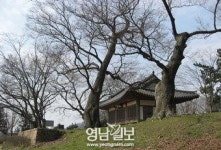 [선비들의 사랑이야기 .1] 오늘은 찬비 맞았으니- 임제와 한우<상>