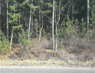 [공매정보] 포항 북구 흥해읍 칠포리 산 84-7 임야