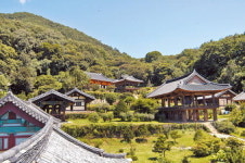 영주 부석사, 의상대사의 지팡이가 살아난 선비화…무량수전·석등 등 문화재 10점도 유명