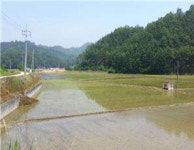 [공매정보] 예천군 호명면 직산리 1053-1 논 2천517㎡
