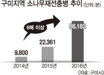 구미 덮친 소나무재선충…2년간 6배 늘어