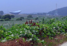 [류혜숙의 여행스케치] 대구 달성습지 쌍룡녹색길