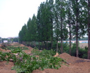 [류혜숙의 여행스케치] 대구 달성습지 쌍룡녹색길