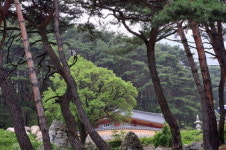 [비슬산 둘레길 108㎞ .4] 제2구간 옥연지 송해공원 둘레길(하) 금굴 입구∼김흥 임도∼유가사(8.3㎞)