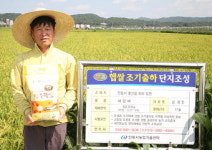 밥맛·윤기 ‘좌르르’…안동 햅쌀 추석 선물용 인기몰이