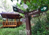 [비슬산 둘레길 108㎞ .9] 제7구간 우록백합나무길(상) 청도 이서면 수야2리 경로당∼목백합나무 군락지(5.7㎞)