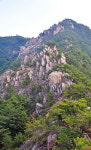 [최원식의 산] 화왕산(火旺山·해발 756.6m, 경남 창녕군)