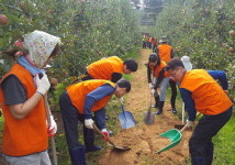 대구본부세관, 울산 태풍피해 농가 복구 지원