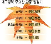 대구경북 단풍 나들이 이번주 ‘골든타임’