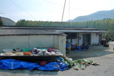 [류혜숙의 여행스케치] 경주 서면 도리마을