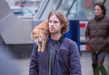 [개봉작] 내 어깨 위 고양이, 밥