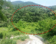 [공매정보] 경산시 남천면 협석리 157, 158 농경지