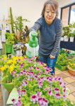 봄·꽃 100배 즐기려면