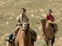 [개봉작] 리버 로드