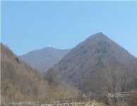 [공매정보] 청송 현서면 갈천리 산 113 임야