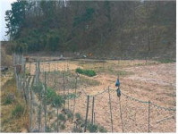 [공매정보] 영덕 축산면 경정리 575-1 농경지
