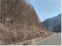 [공매정보] 청송 현서면 갈천리 산56-1 임야