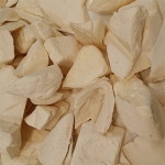 [박종현 원장의 약재 산책 - 오적골] 오징어 뼛가루 바르자 상처 아물어…지혈작용·위산 자극 완화