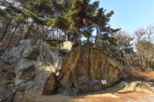 [물의 도시 대구 .12] 신천변 용두바위와 용두산