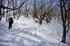[최원식의 산] 민주지산 삼도봉(해발 1천177m, 전북·경북·충북 경계)