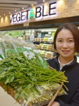 한재미나리 첫 출하