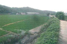 [공매정보] 구미 해평면 도문리 습운동마을 남측 인근 임야