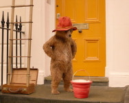 [개봉작] 패딩턴 2