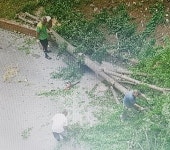 대구시·서구청 불법행위 알고도 A요양원 이사장 복지부 표창 추천