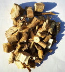 [박종현 원장의 약재 산책 - 상지] 수족신경통·중풍에 뽕나무 가지 달여 마시면 좋아