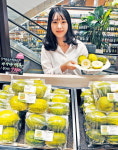 “파파야멜론 맛보세요”