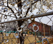 황등 3미·정순순대·숙성맥주골목 명물…블랙닭강정·왕만두 별미