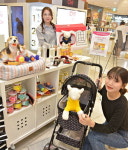 반려동물에게 선물 어때요