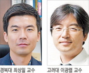 값싸고 효율 30배 높은 수소연료전지 촉매 개발