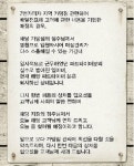 국민적 공분 고객 비하 영수증 논란 7번가 피자 와 광주 폭행 …청와대 국민청원 잇따라 등장