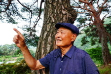 두꺼비 바위 앉은 옥계계곡 언덕 古松 군락지, 1㎞ 힐링탐방로 만들다