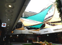 [이춘호 기자의 푸드 블로그] 동성로 ‘애비뉴8번가’ 이야기