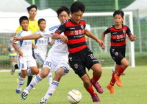 여름의 경주 ‘축구도시’…경제효과 430억원 기대