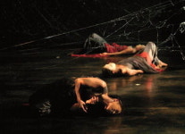 젊은 안무가 6인의 실험과 도전…대구춤페스티벌 다음달 1일 공연