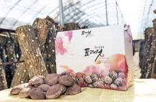 [제11회 아줌마대축제] 성주군, 버섯류·장부터 ‘지역대표작물’ 참외까지