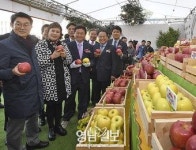 ‘가을 보약’ 경북 사과로 건강 챙기세요